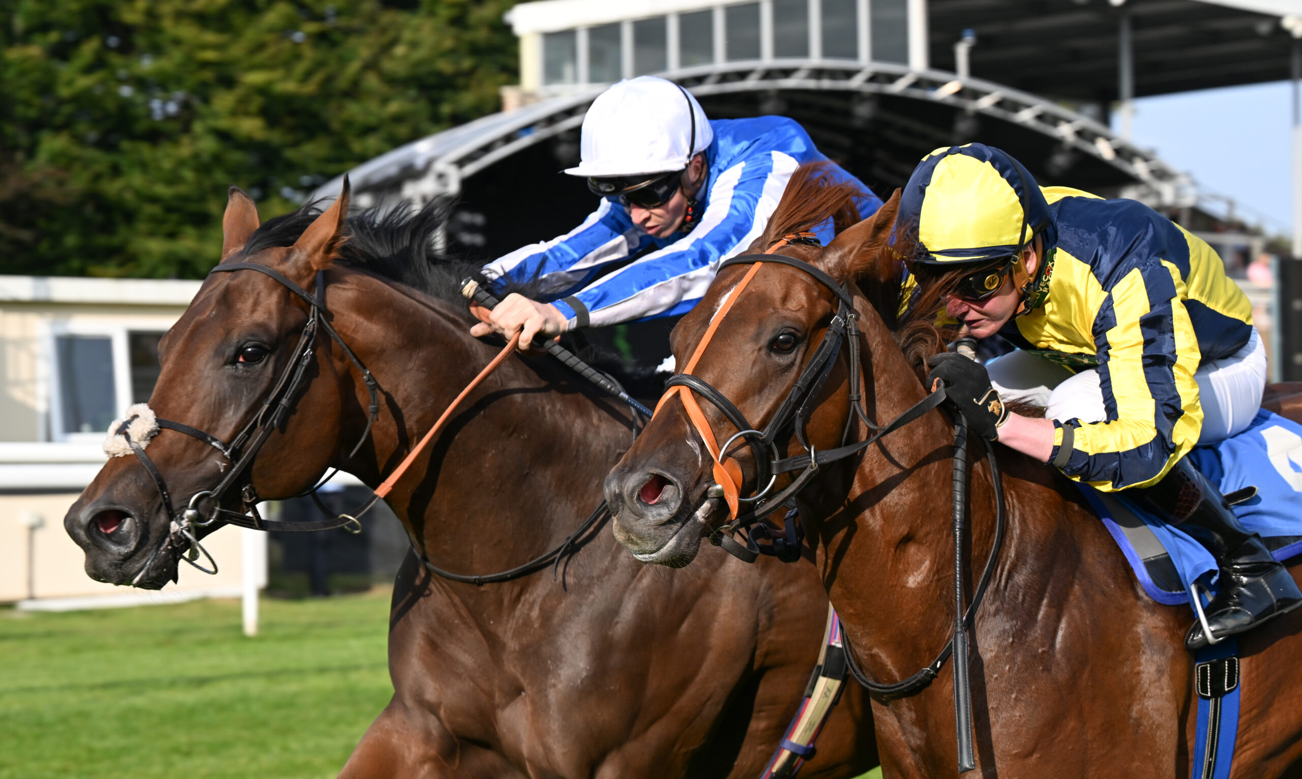 Salisbury Races Cara Glass Sponsored Race 