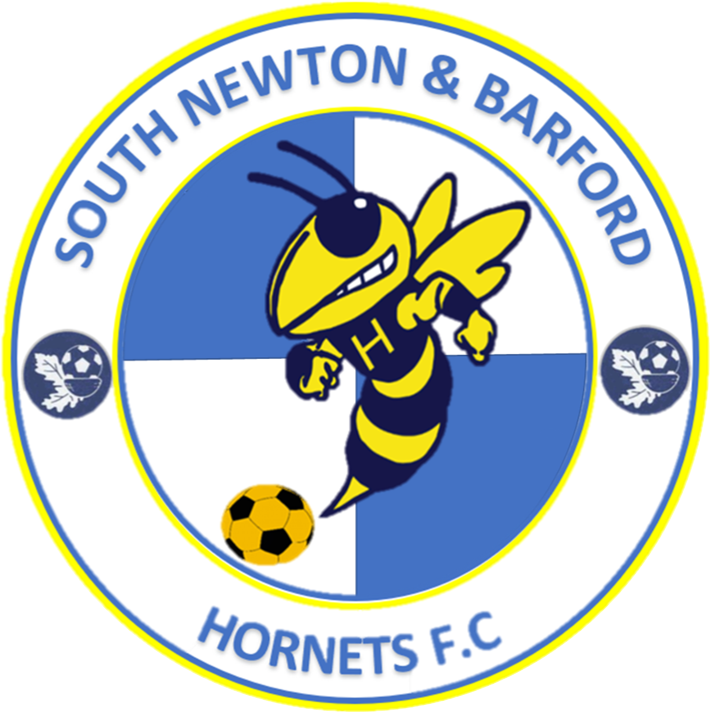 South Newton & Barford Hornets Summer Tournament