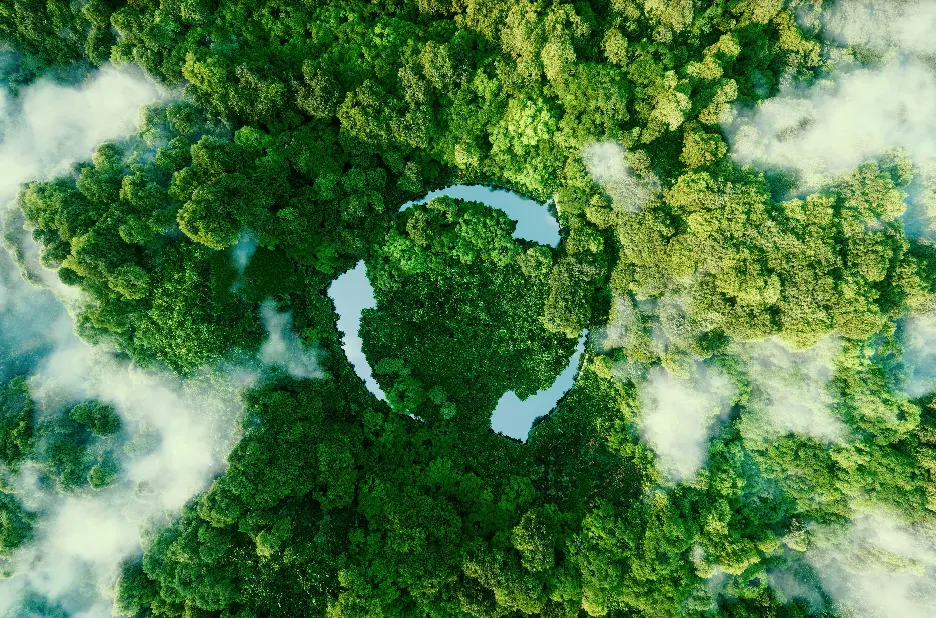 Our Commitment To Sustainability