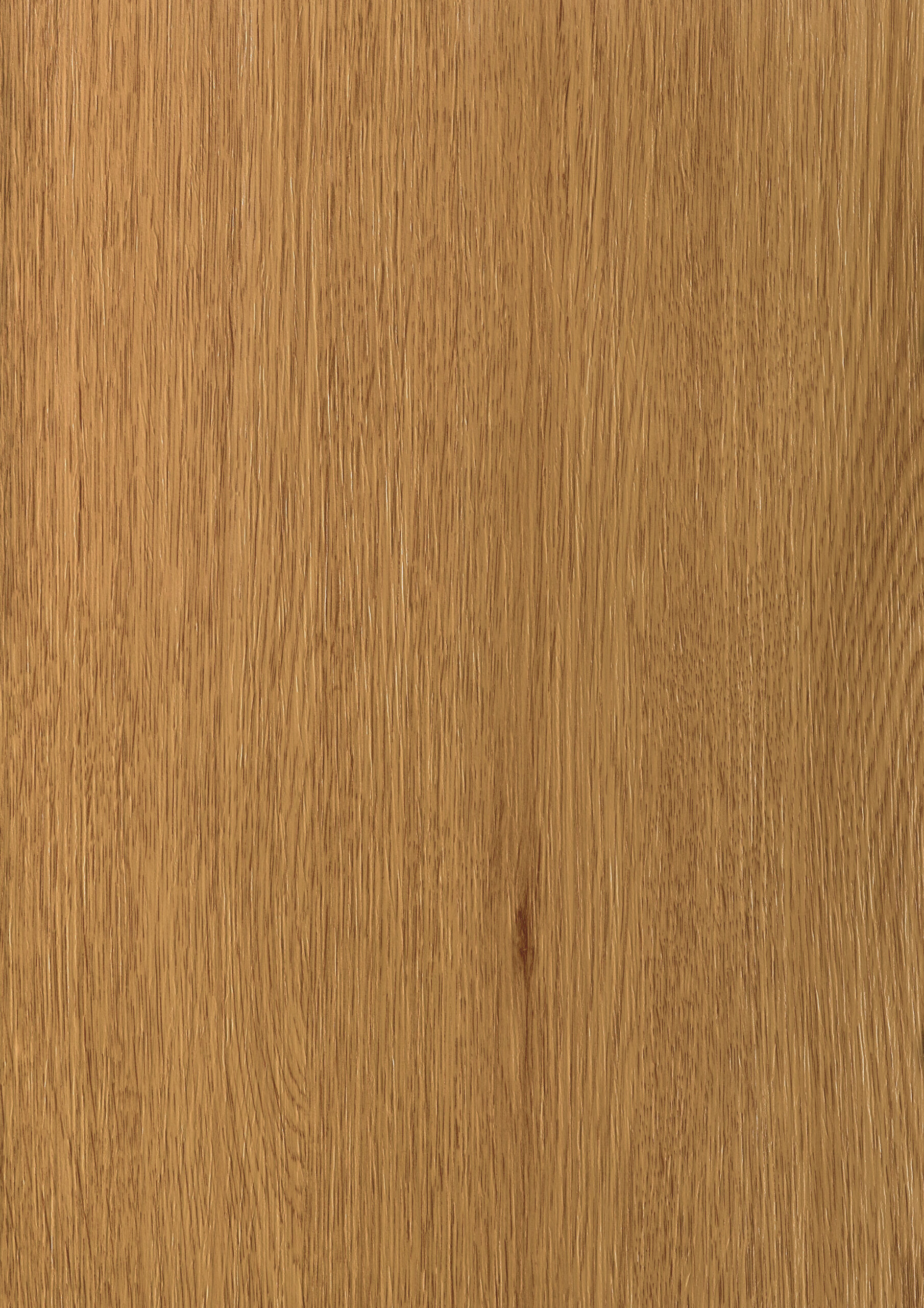 Ginger Oak